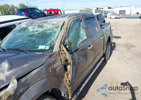 2019 Ford F-150 Xlt z USA, uszkodzony, nr VIN 1FTEW1EP0KFA50235